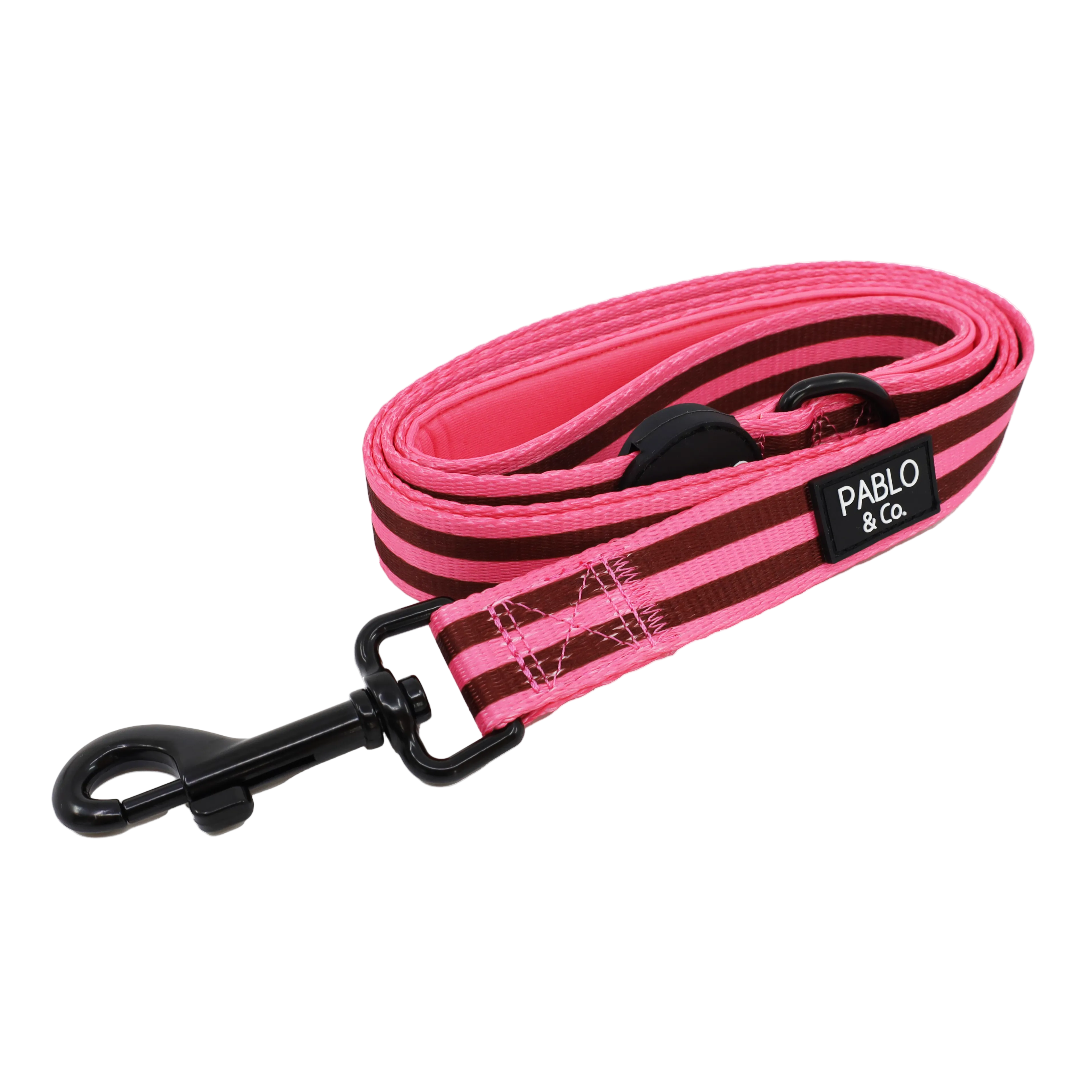 Leashes & Accessories