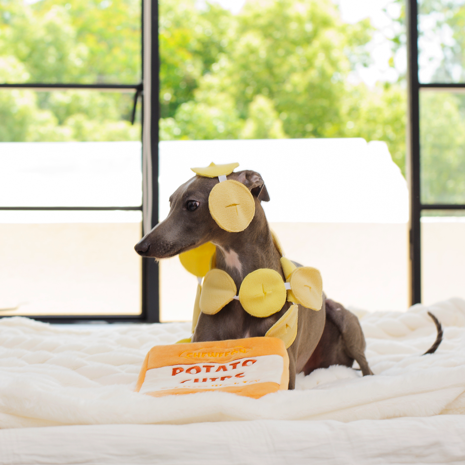 CHEWFFON Rustle Potato Chips Dog Snuffle Toy