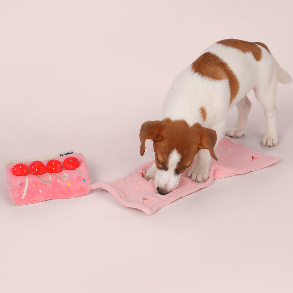 Strawberry Roll Cake Dog Puzzle Toy