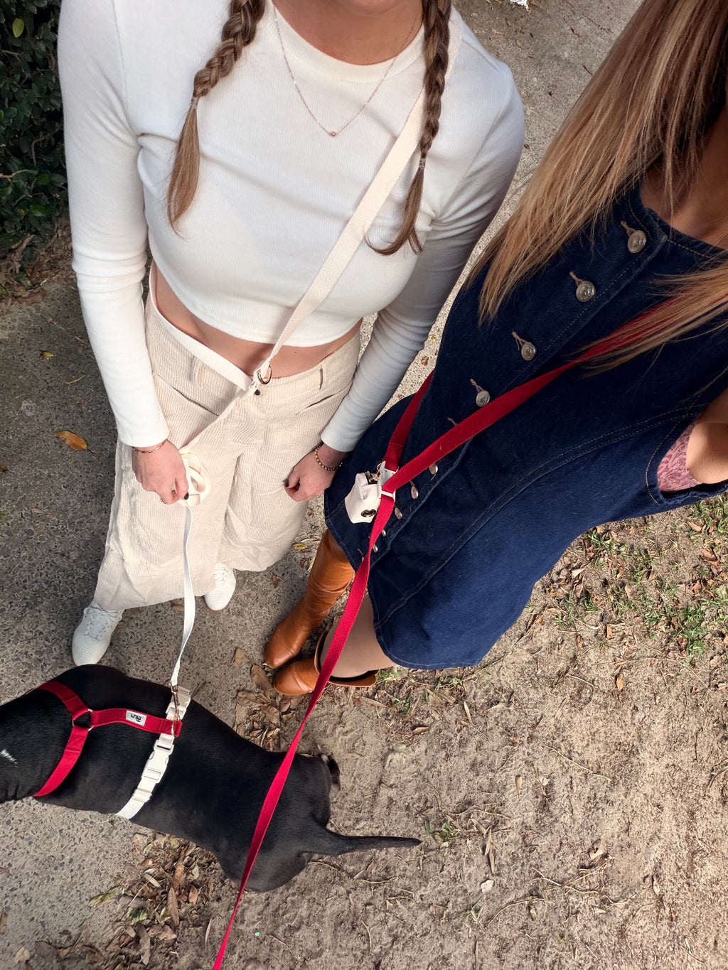 Hands Free Woven Leash - Grey