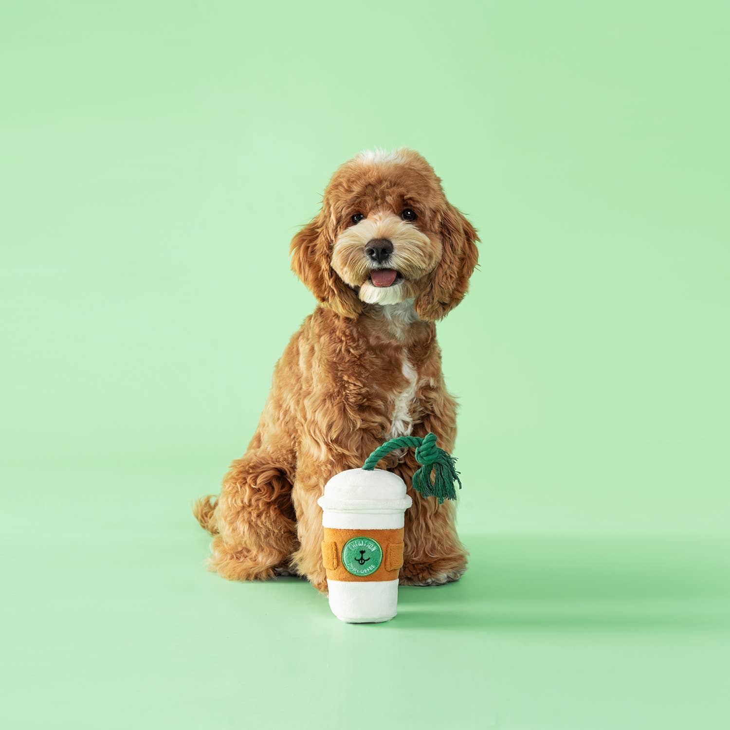 Pupcoffee Squeaky Plush Toy