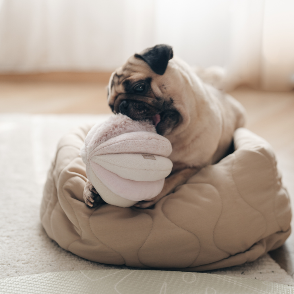 Lambwolf Collective: Toto Dog Enrichment Toy