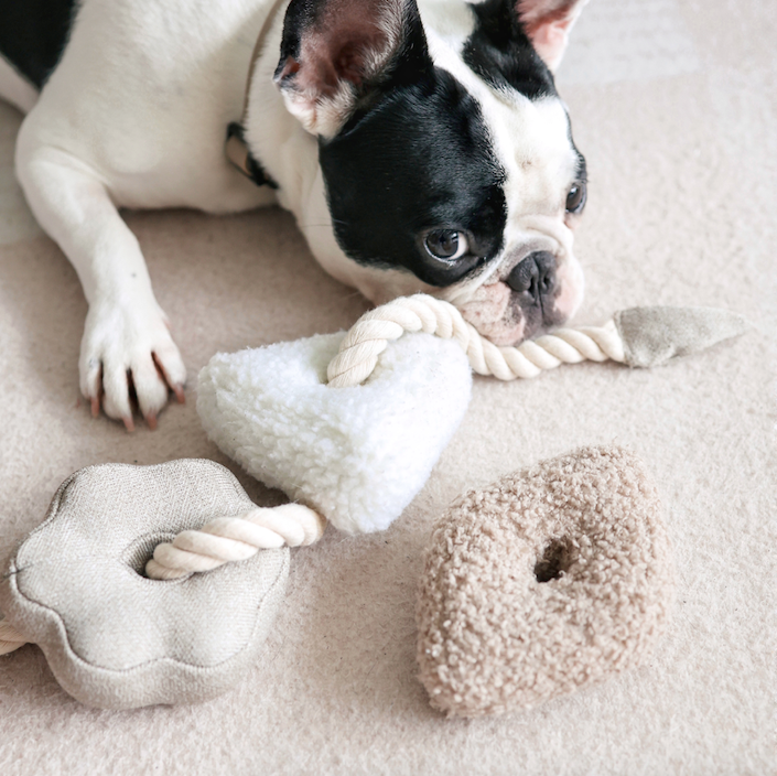 Lambwolf Collective: Blocs Enrichment Dog Toy