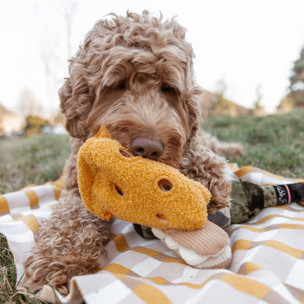 Lambwolf Collective Fromage Enrichment Dog Toy