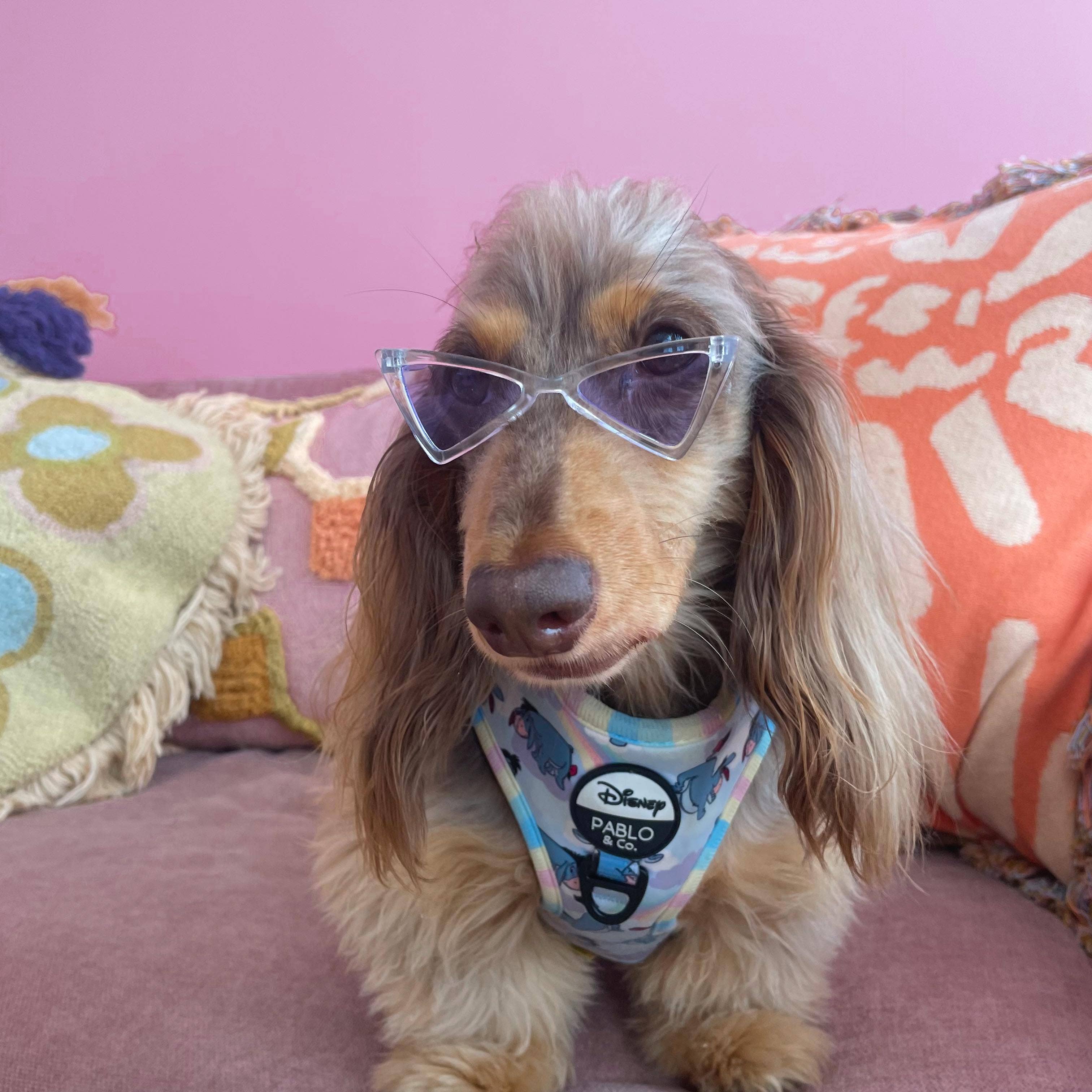 Dog Pet Sunglasses