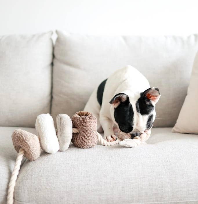 Lambwolf Collective: Blocs Enrichment Dog Toy
