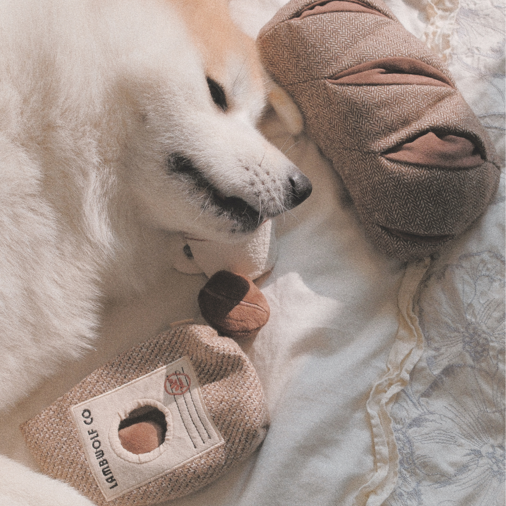 Lambwolf Collective Coffee Beans Enrichment Dog Toy