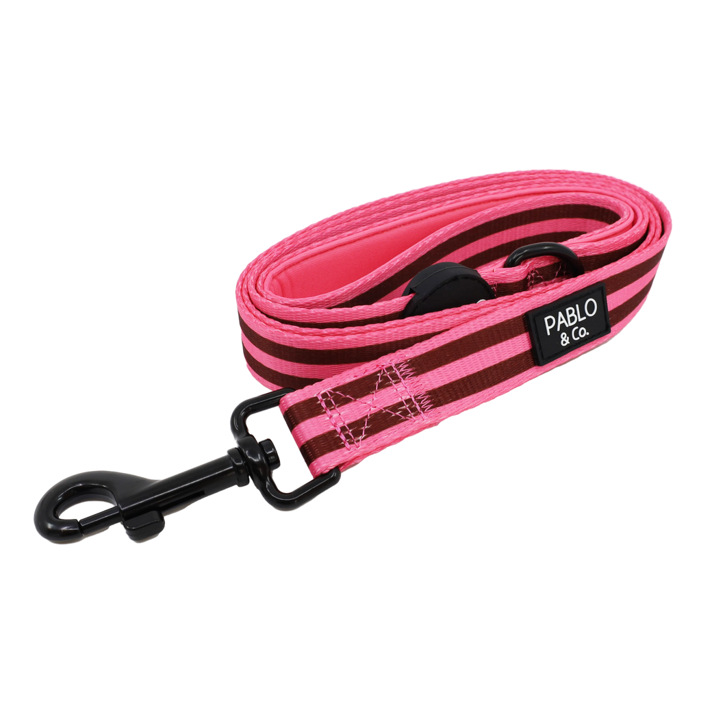 Blushing Stripes: Dog Leash
