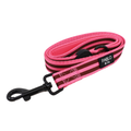 Blushing Stripes: Dog Leash
