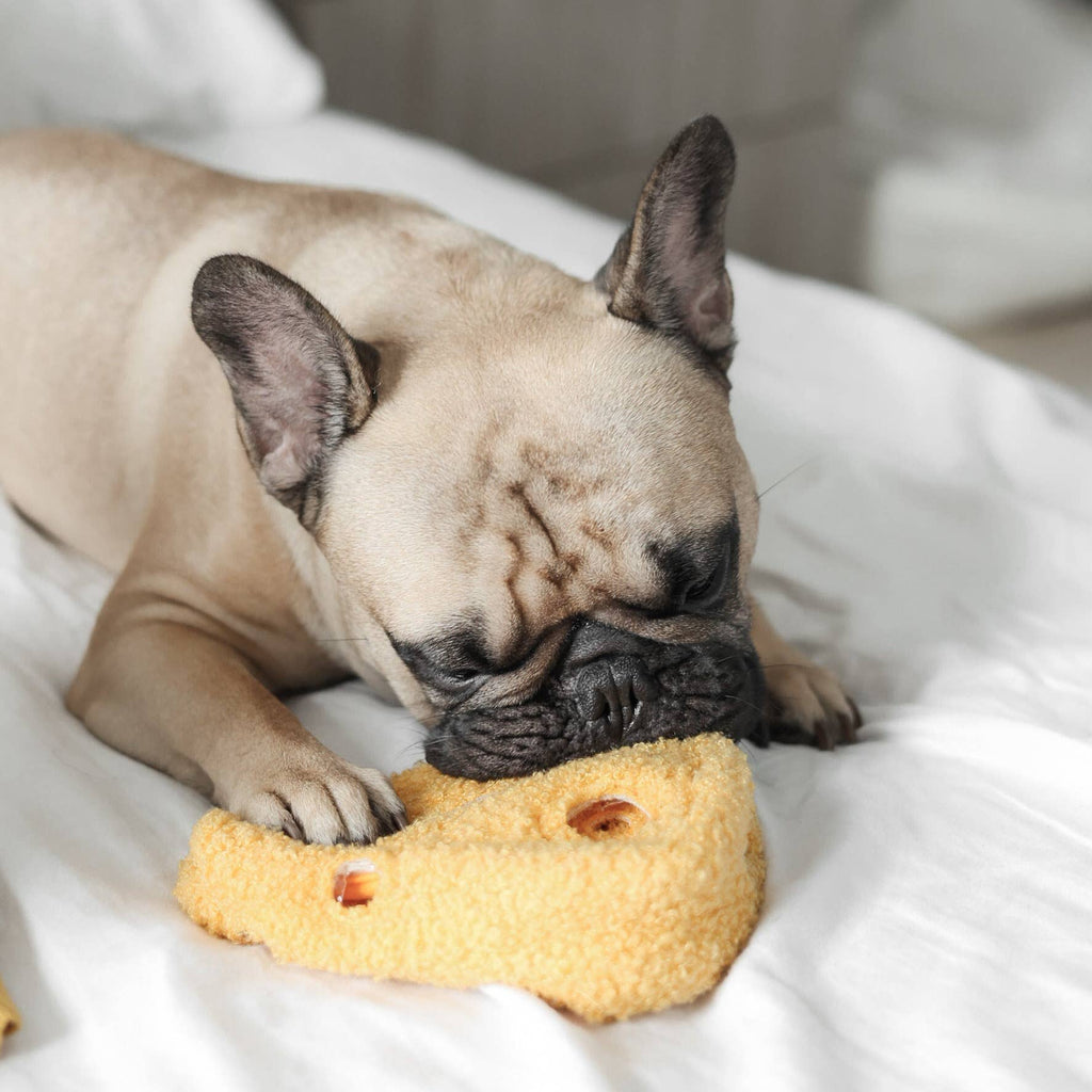 Lambwolf Collective Fromage Enrichment Dog Toy