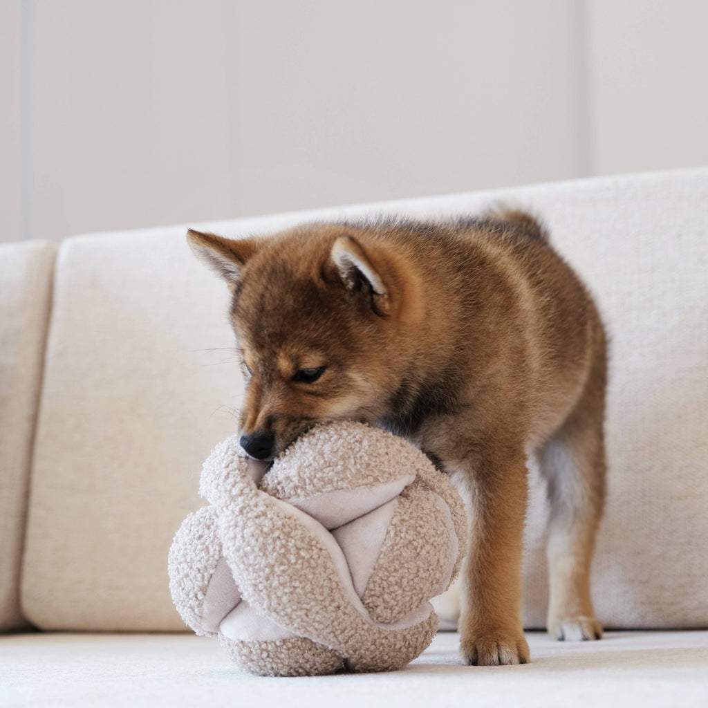 Lambwolf Collective: Monti Dog Enrichment Toy