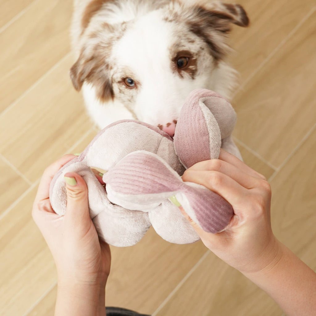 Lambwolf Collective: Monti Dog Enrichment Toy: Purple