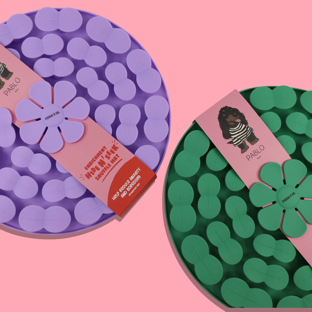 Hide & Seek Silicone Snuffle Mat