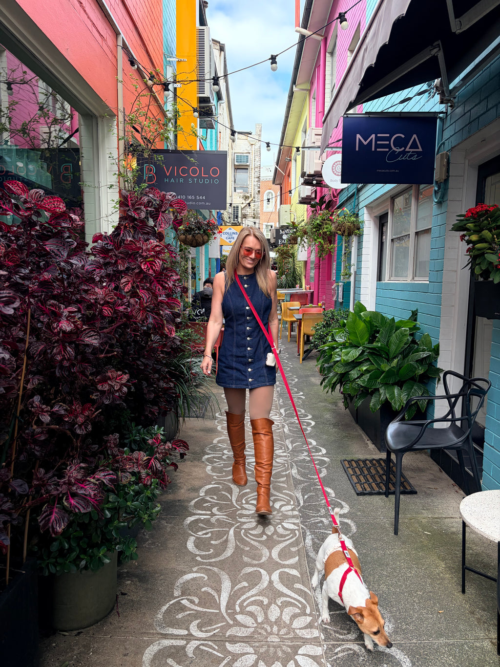 Hands Free Woven Leash - Berry