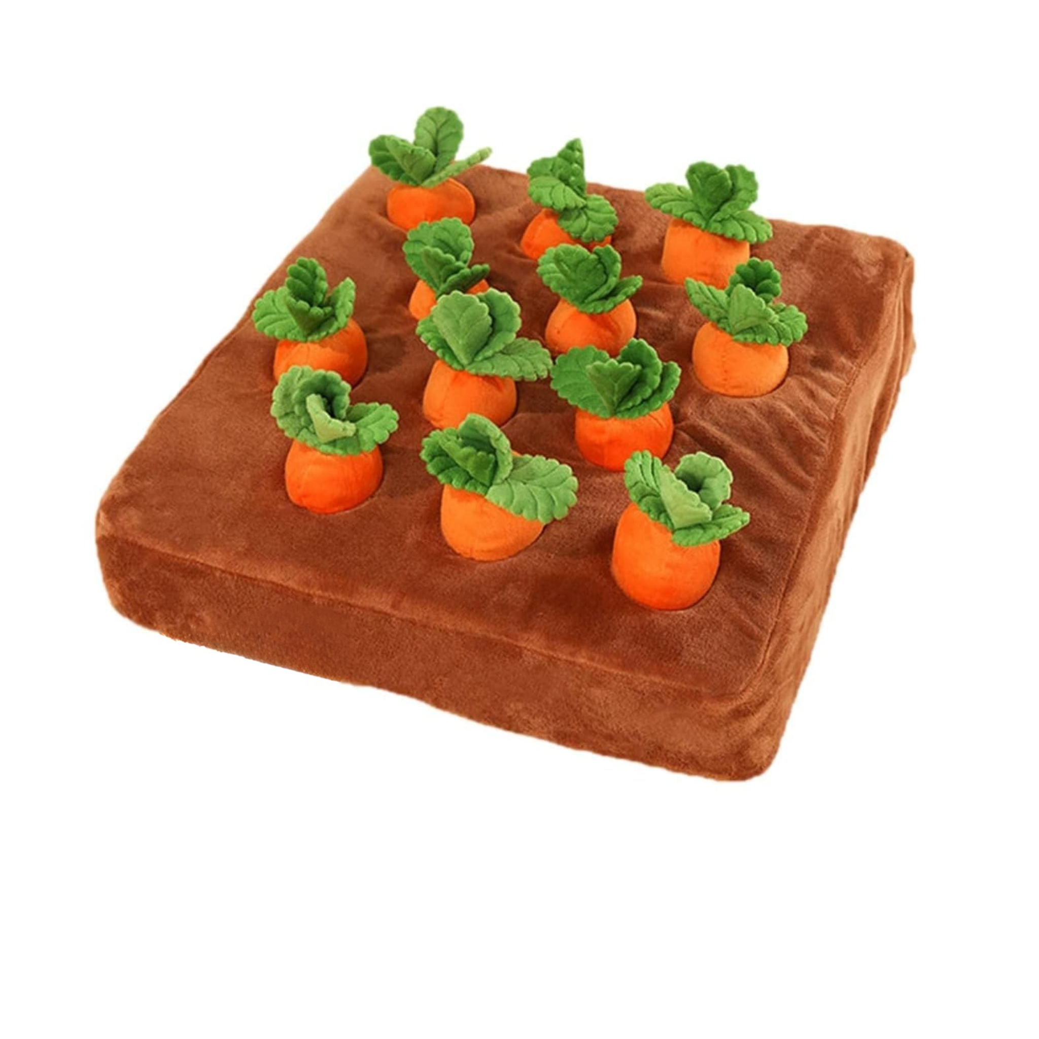 Carrot Snuffle Mat for Dogs