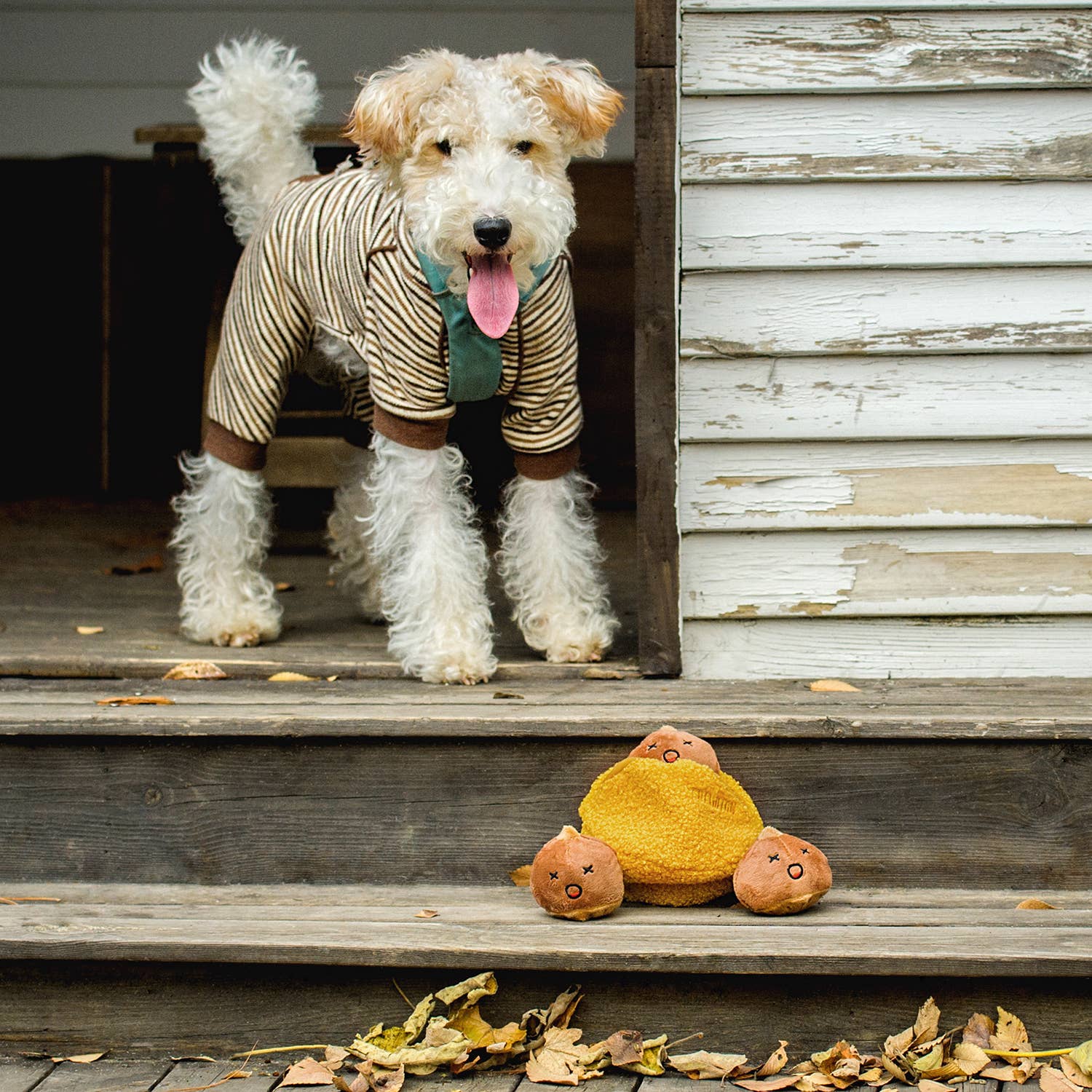 Dog in a striped outfit standing on wooden steps with two plush toys below.