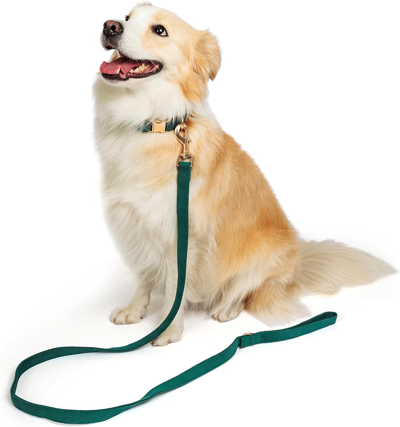 Dog Collar and Leash Set - Size Small