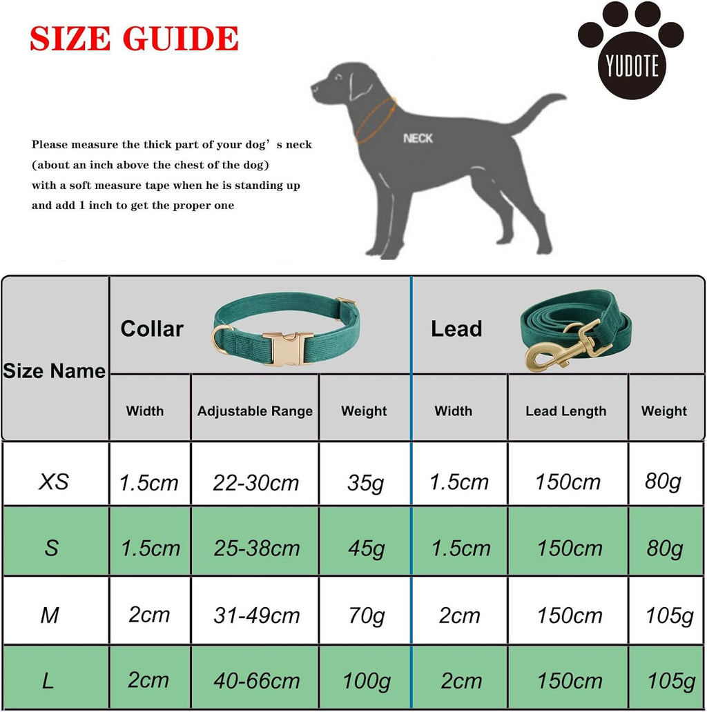 Dog Collar and Leash Set - Size Small