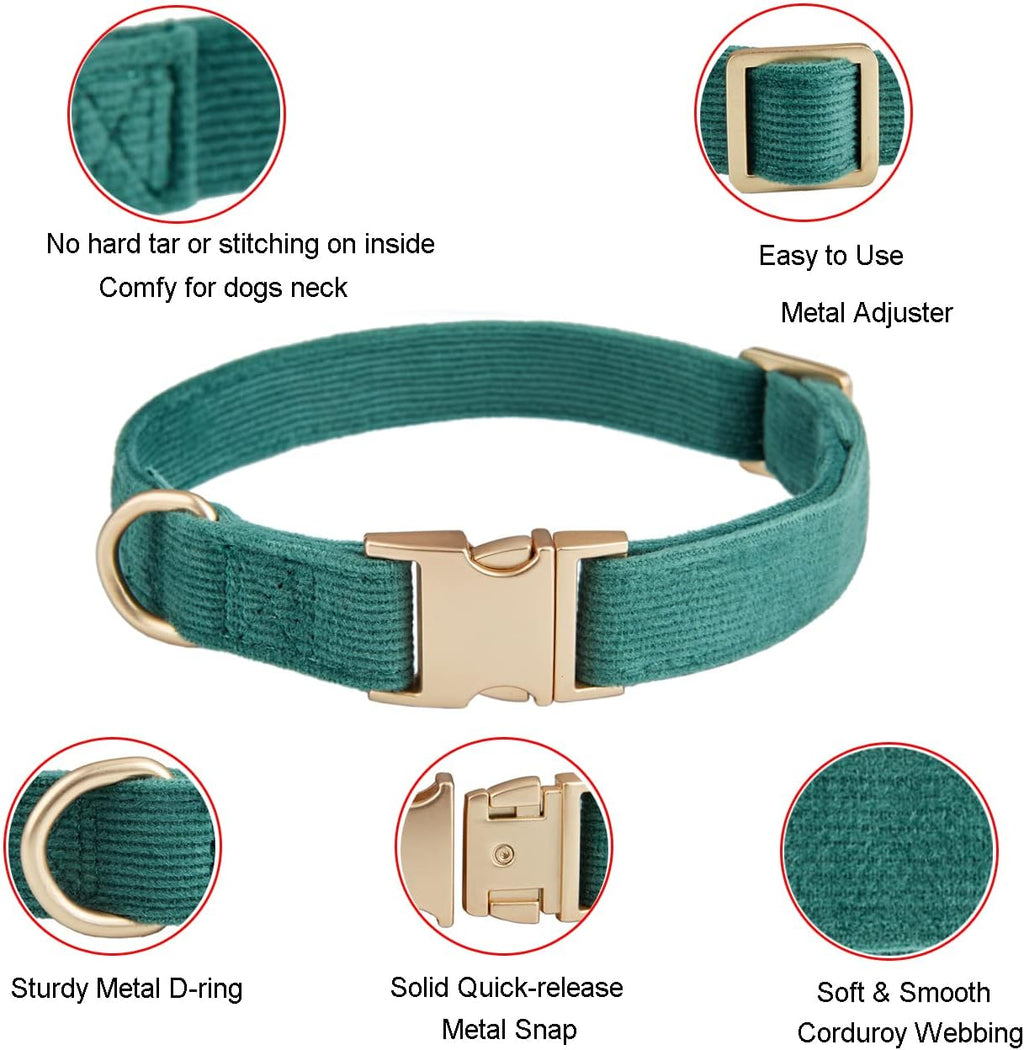 Dog Collar and Leash Set - Size Small