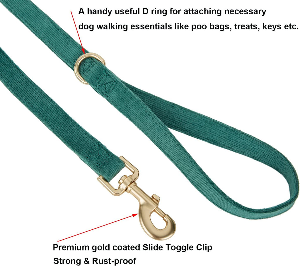 Dog Collar and Leash Set - Size Small