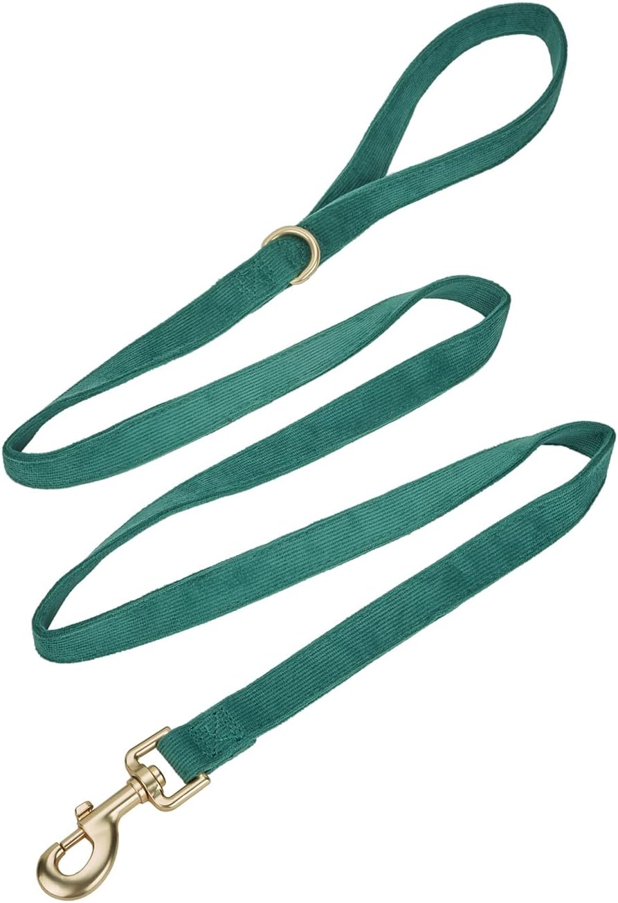 Dog Collar and Leash Set - Size Small