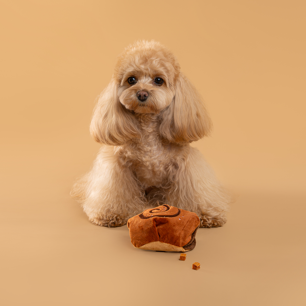 Small dog with a plush toy on a beige background