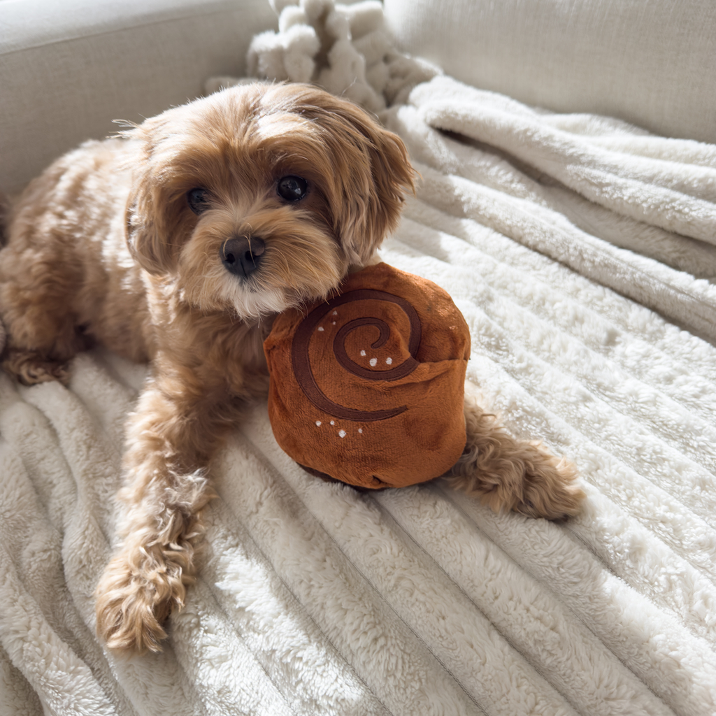 Small dog holding a plush cinnamon roll toy on a soft blanket
