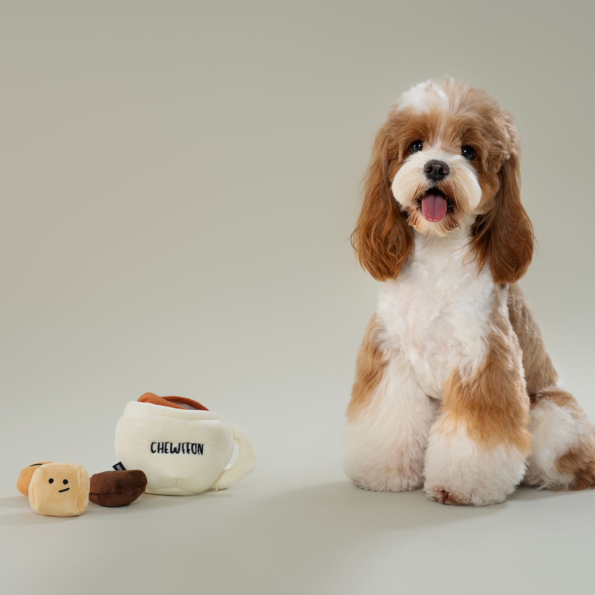Dog sitting next to a mug and small plush toy on a plain background