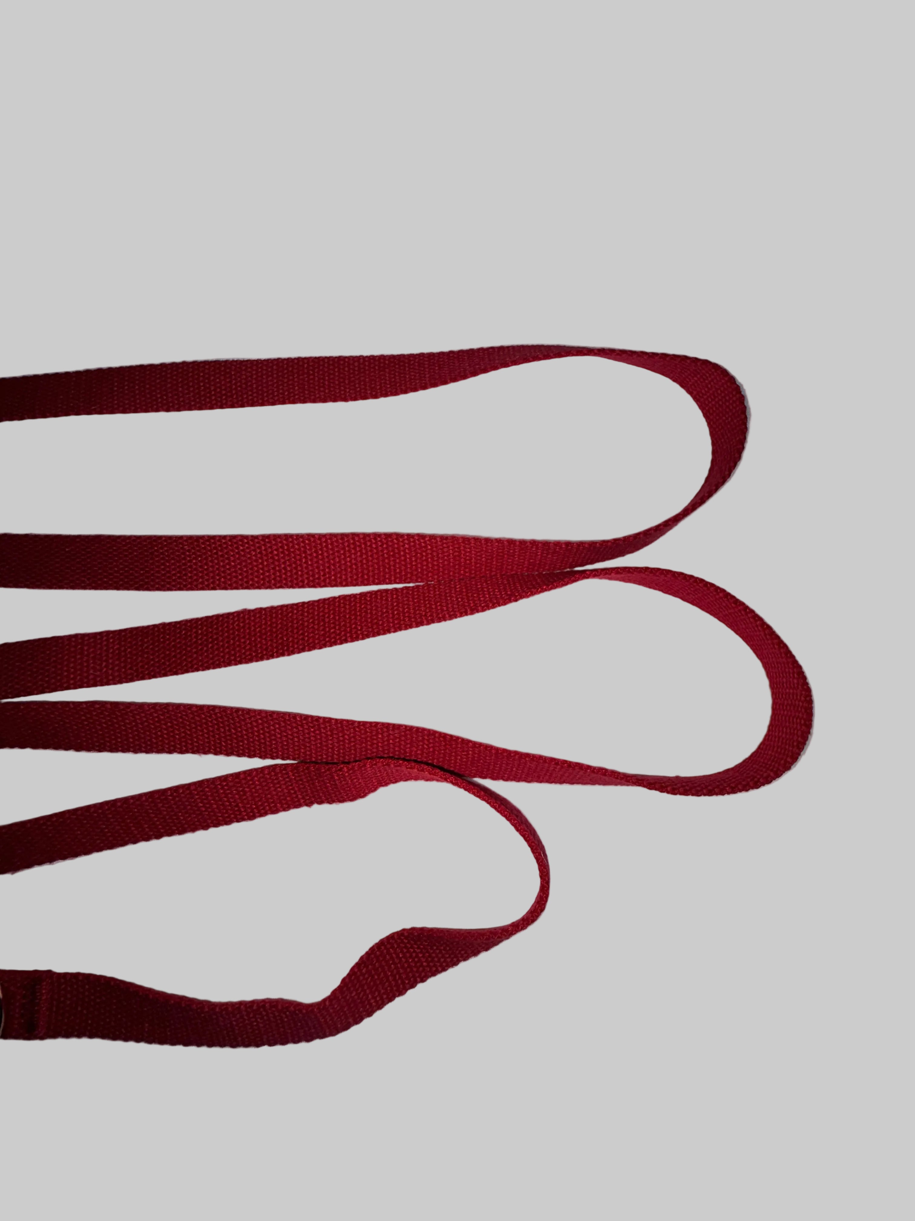 Hands Free Woven Leash - Berry
