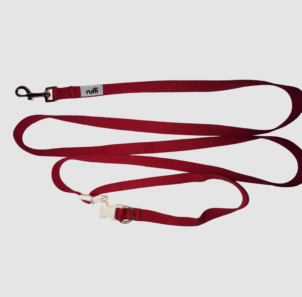 Harness and Leash Set - Berry