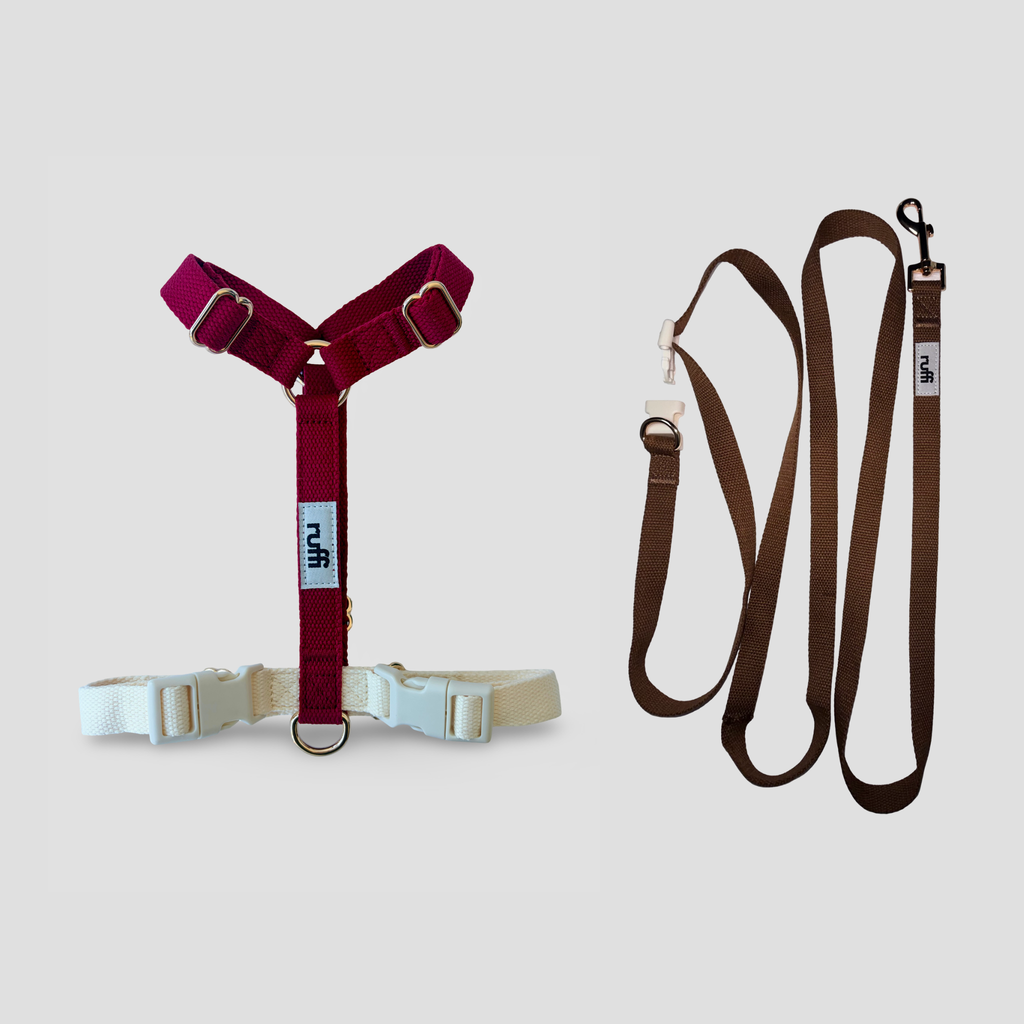 Harness and Leash Set - Chocolate