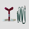 Harness and Leash Set - Forest Green