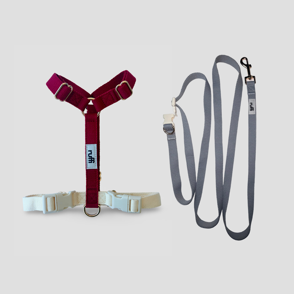 Harness and Leash Set - Grey