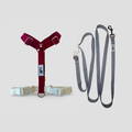 Harness and Leash Set - Grey