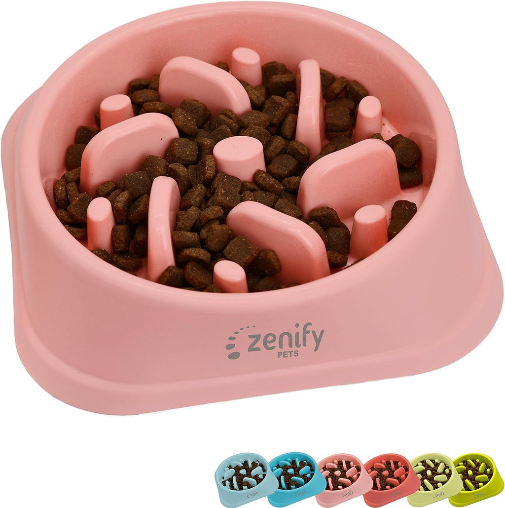 Slow Feeder Dog Bowl