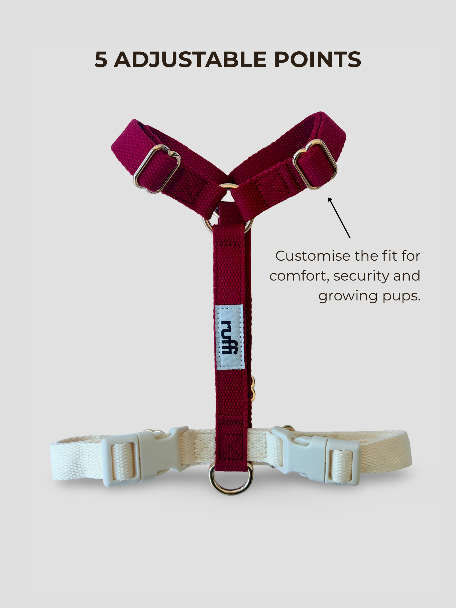 Berry/Cream Adjustable Dog Harness