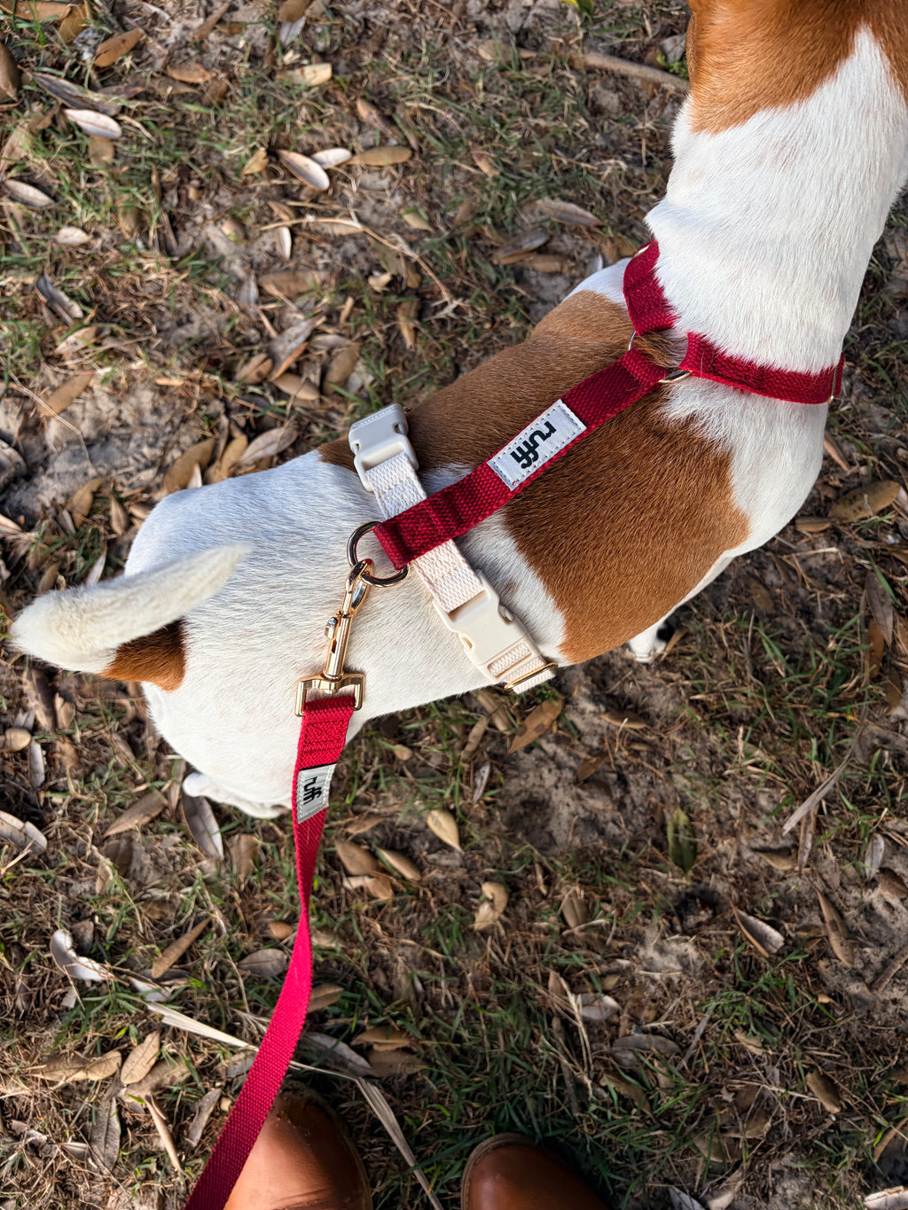 Berry/Cream Adjustable Dog Harness