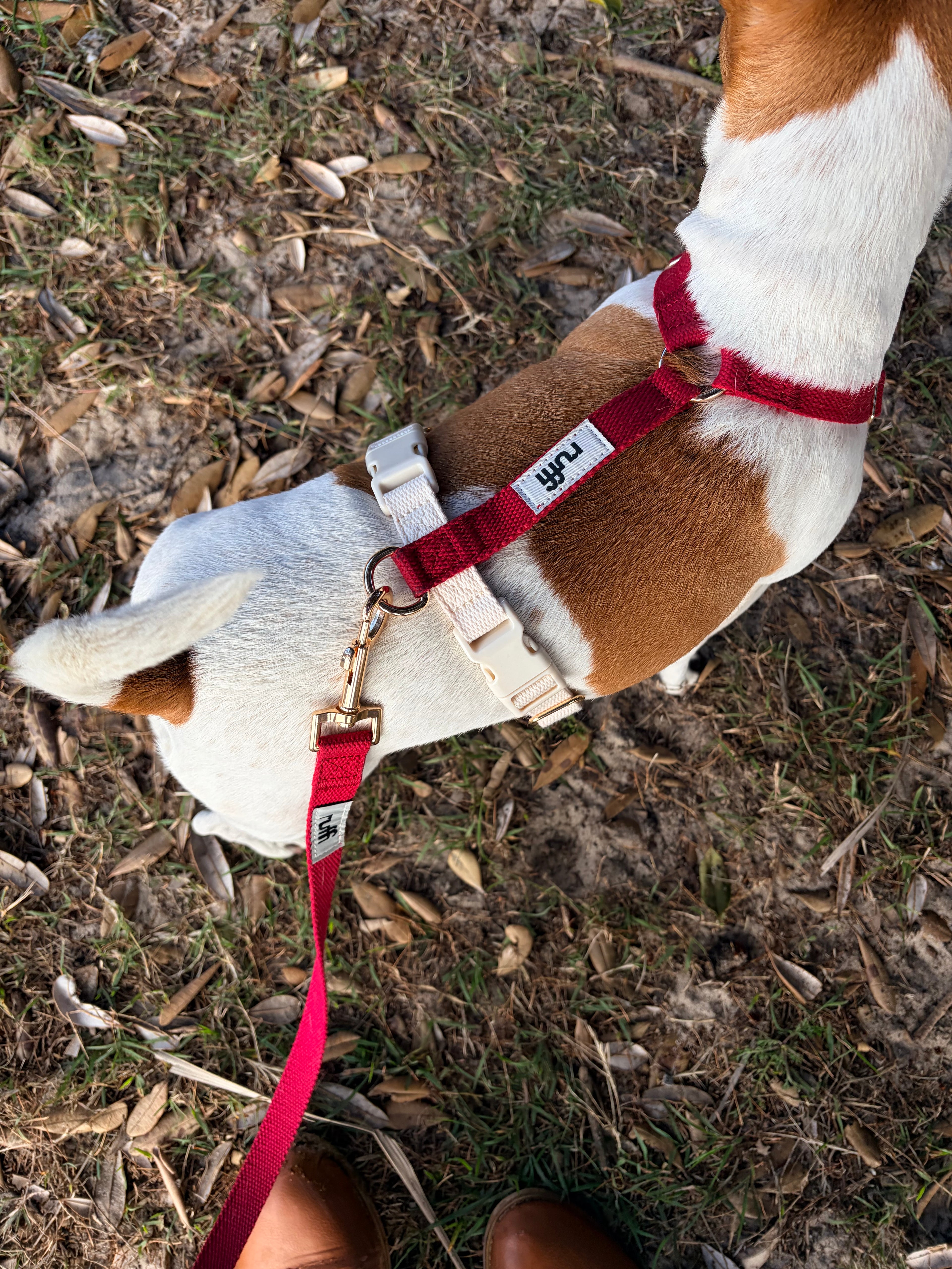 Berry/Cream Adjustable Dog Harness