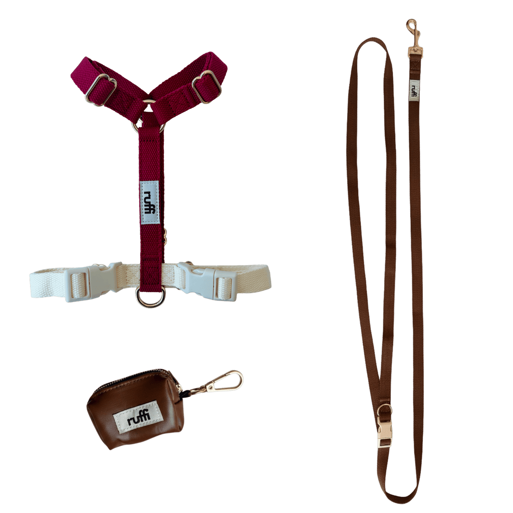 Harness Walk Set - Chocolate Brown