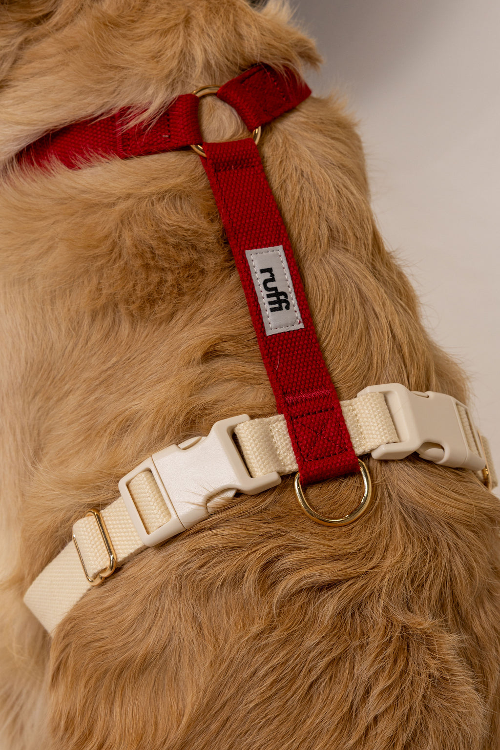 Berry/Cream Adjustable Dog Harness