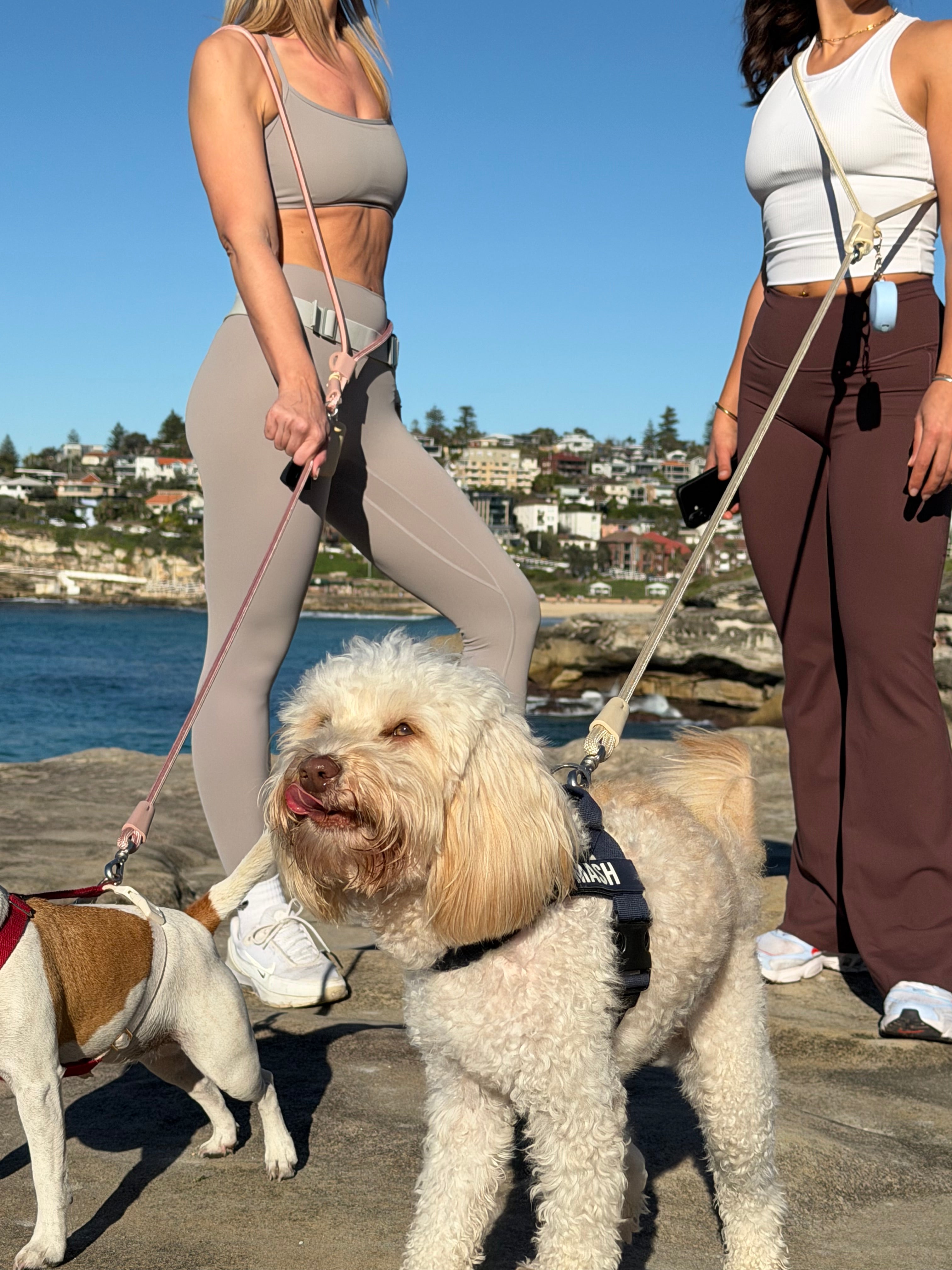 Hand Free Rope Leash Burgundy