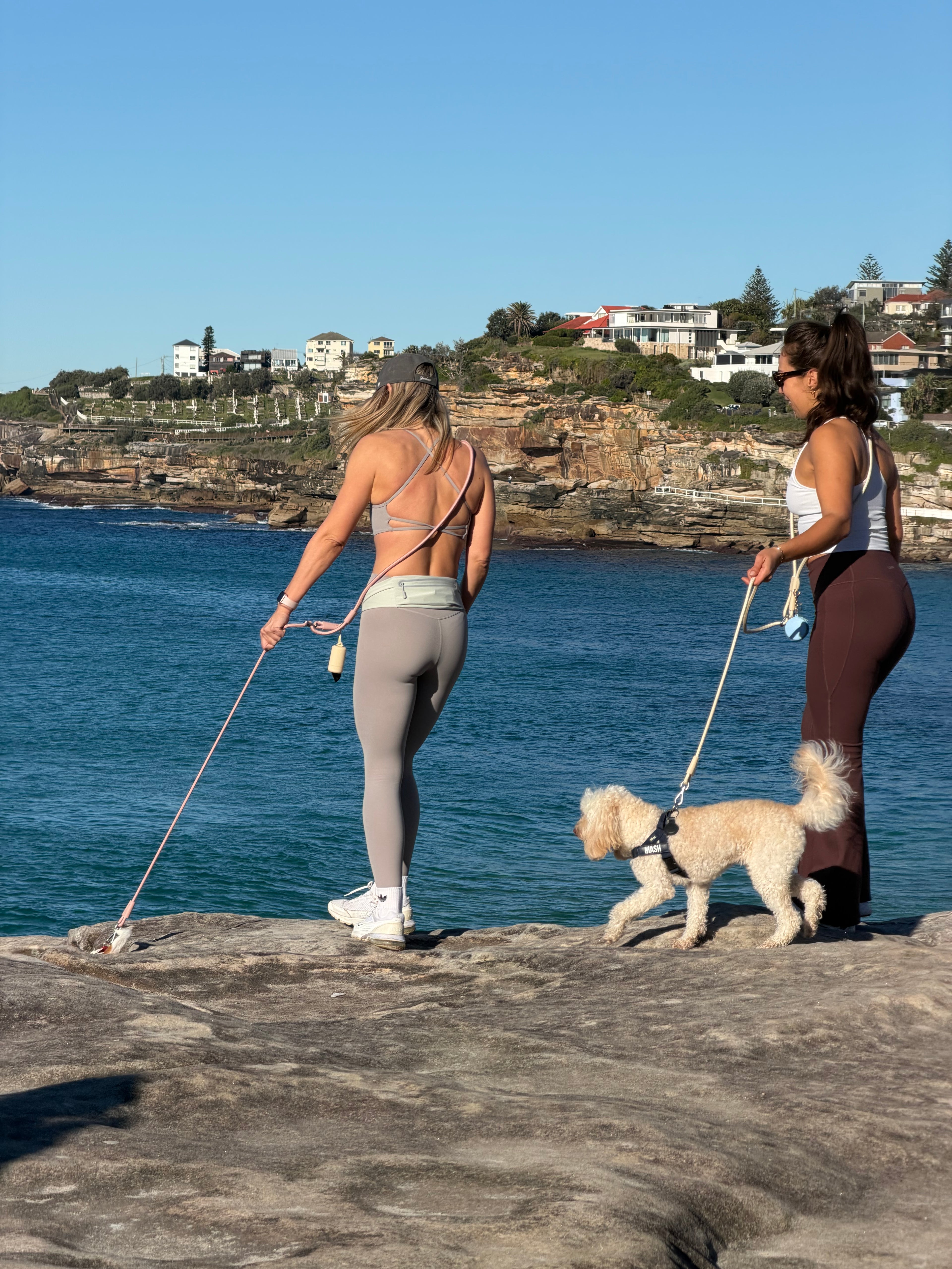 Ruffi Dog Walking Belt
