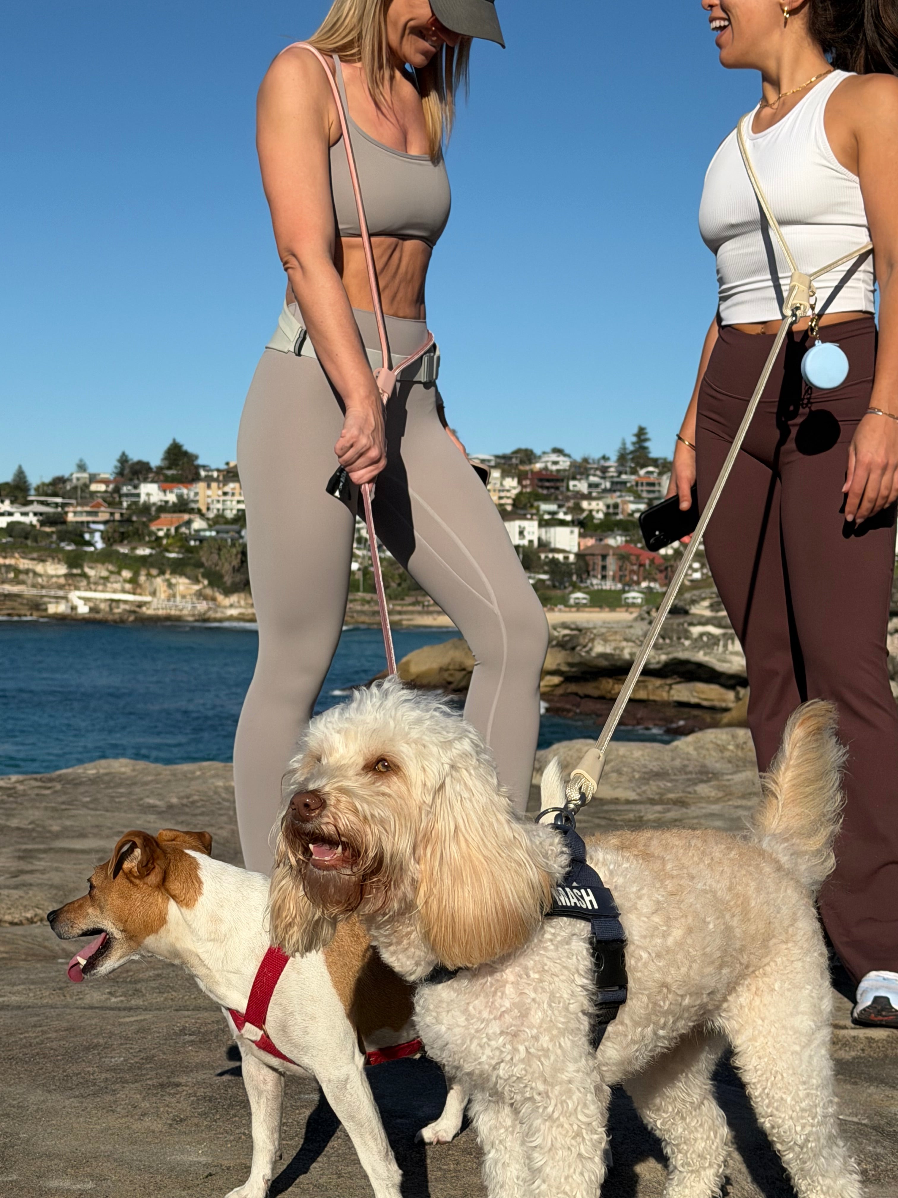 Hands Free Rope Leash Cream