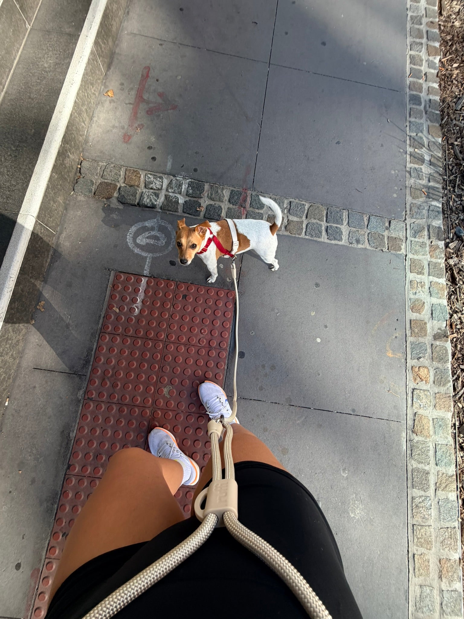 Hands Free Rope Leash Cream