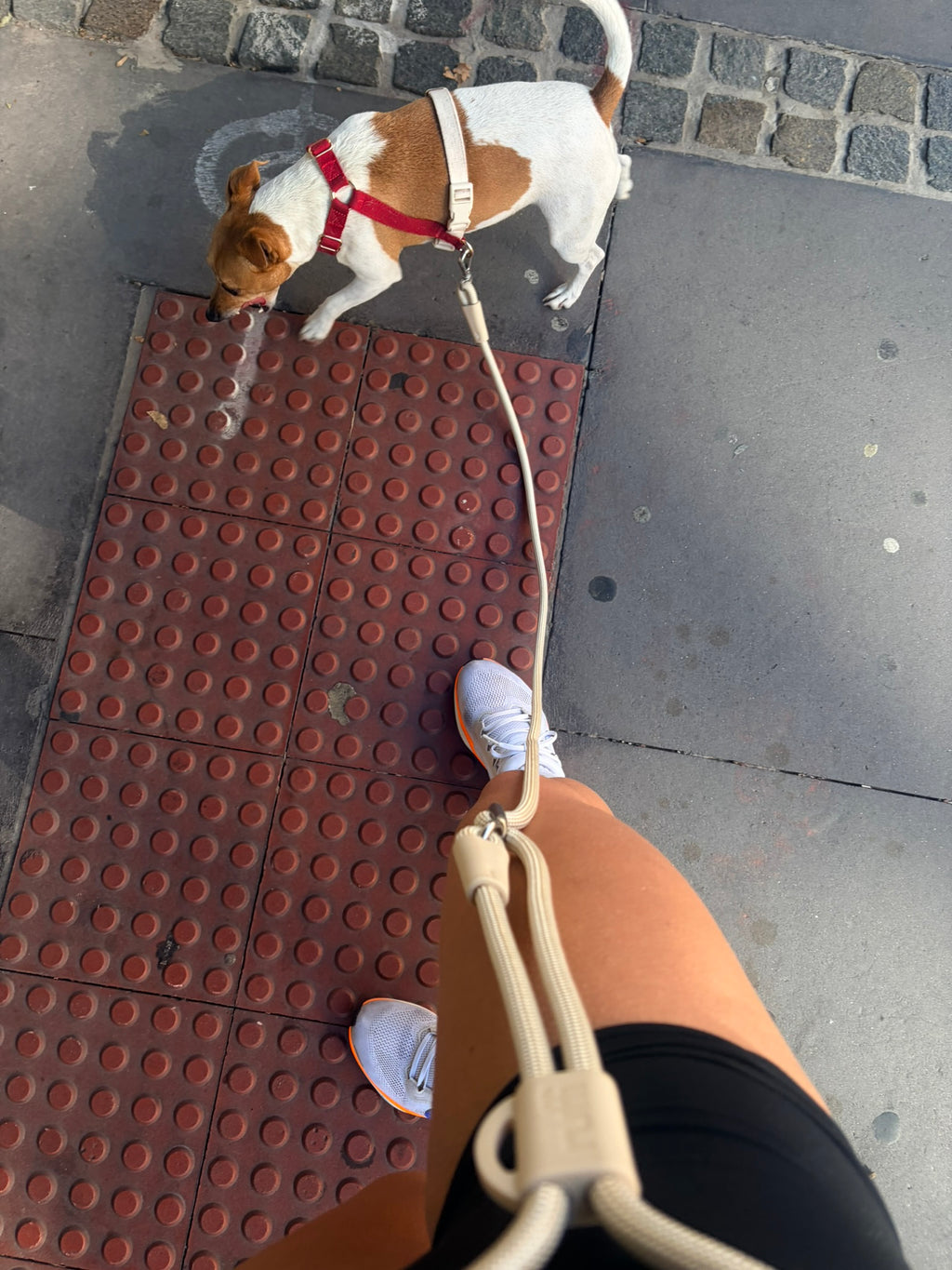 Hands Free Rope Leash Cream