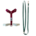 Harness and Leash Set - Forest Green