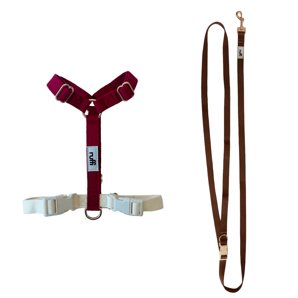 Harness and Leash Set - Chocolate