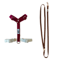 Harness and Leash Set - Chocolate