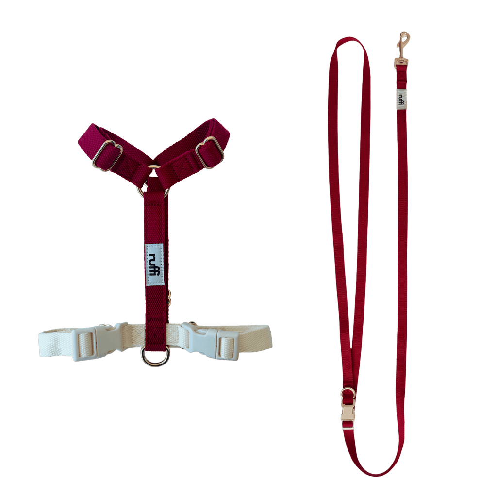 Harness and Leash Set - Berry