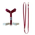 Harness and Leash Set - Berry